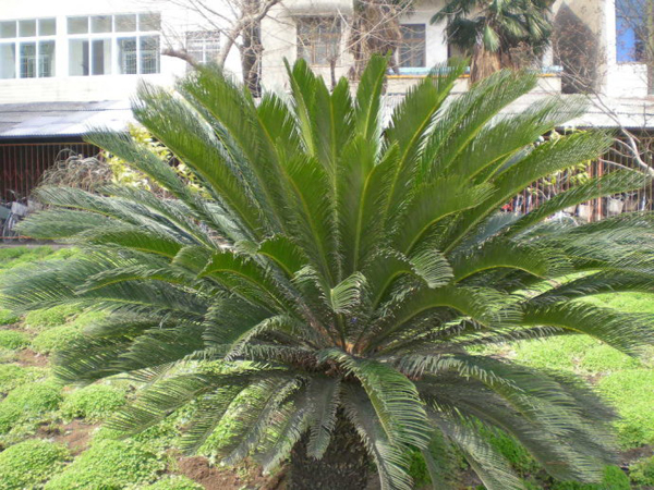 ������ѧ�ۺ�¥������д