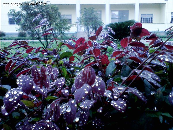 �칫¥ǰ�����